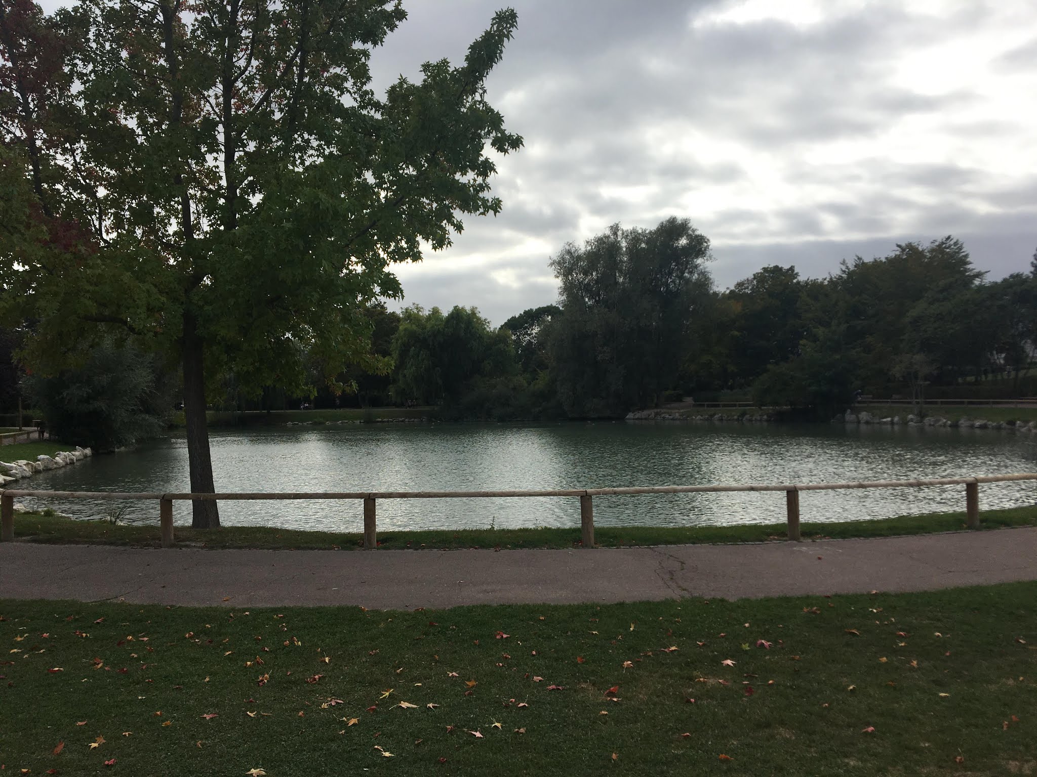 Photo n° 2 de l'avis de Youssef. fait le 20/10/2019 à 10:43