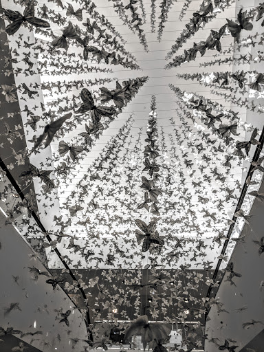 Clothing Store «Neiman Marcus», reviews and photos, 11111 NE 8th St, Bellevue, WA 98004, USA