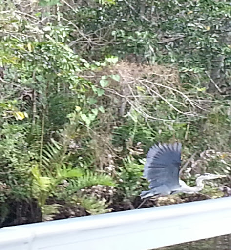 Boat Tour Agency «River Lilly Cruises», reviews and photos, 500 E Prima Vista Blvd, Port St Lucie, FL 34983, USA