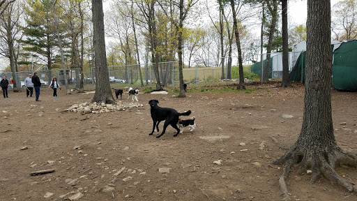 Dog Park «Beverly Dog Park», reviews and photos, L P Henderson Rd, Beverly, MA 01915, USA