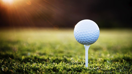 Golf Course «Bayou Golf Course», reviews and photos, 2800 Ted Dudley Dr, Texas City, TX 77591, USA