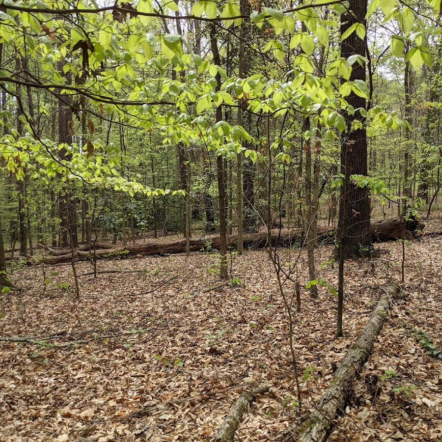 Tucker Nature Preserve