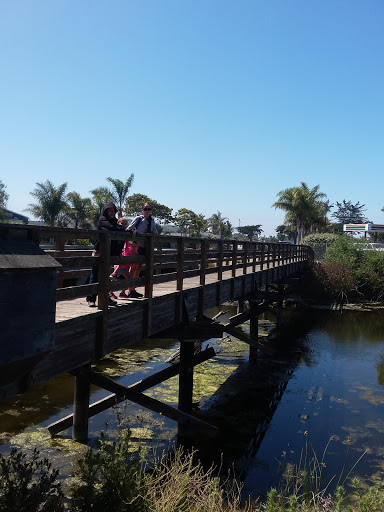 Park «Mary Harrington Park», reviews and photos, 201 Dolliver St, Pismo Beach, CA 93449, USA