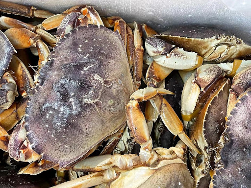 Discount Supermarket «Park Hill Supermarket», reviews and photos, 3770 E 40th Ave, Denver, CO 80205, USA