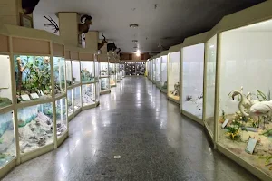 Natural History Museum of Bu-Ali Sina University image