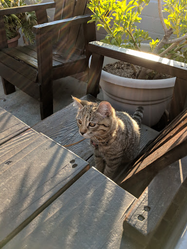 Laundromat «Drop A Load Laundry», reviews and photos, 370 W Sierra Madre Blvd, Sierra Madre, CA 91024, USA