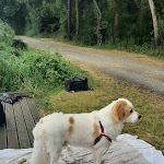 Photo n° 6 de l'avis de Simba.i fait le 16/06/2021 à 08:19 pour Vetarche à Saint-Herblain