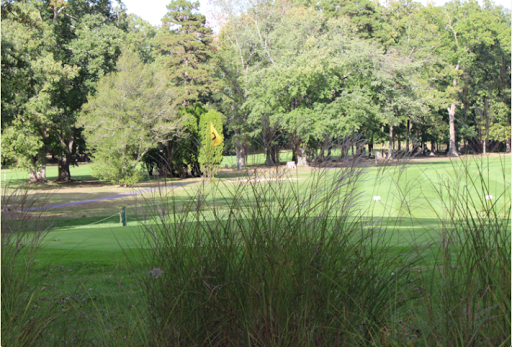Pinelands Golf Course, 887 Mays Landing Rd, Hammonton, NJ 08037, USA, 
