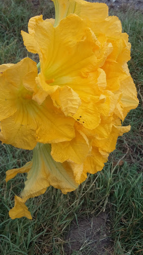 Hadco Vet Supply image