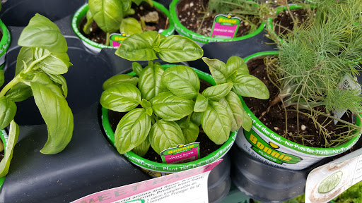 Supermarket «Walmart Neighborhood Market», reviews and photos, 3571 W. Rock Creek Road, Norman, OK 73069, USA