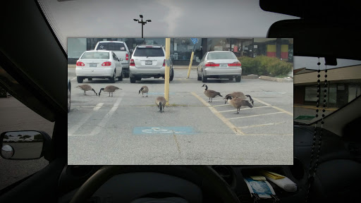 Dollar Store «Dollar Tree», reviews and photos, 110 Narragansett Park Dr, Rumford, RI 02916, USA