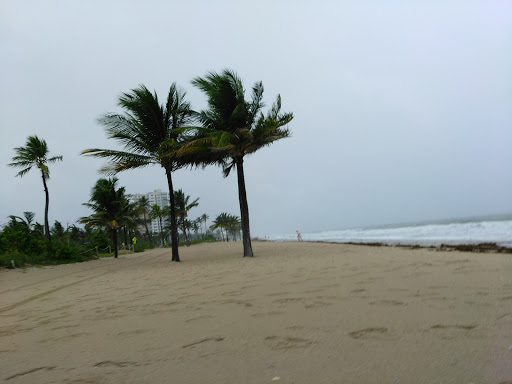 State Park «Hugh Taylor Birch State Park», reviews and photos, 3109 E Sunrise Blvd, Fort Lauderdale, FL 33304, USA