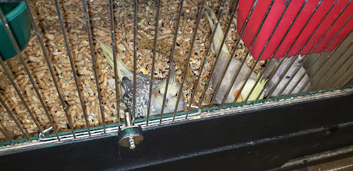 Pet Supply Store «Pet Supplies Plus», reviews and photos, 175 Memorial Ave, West Springfield, MA 01089, USA