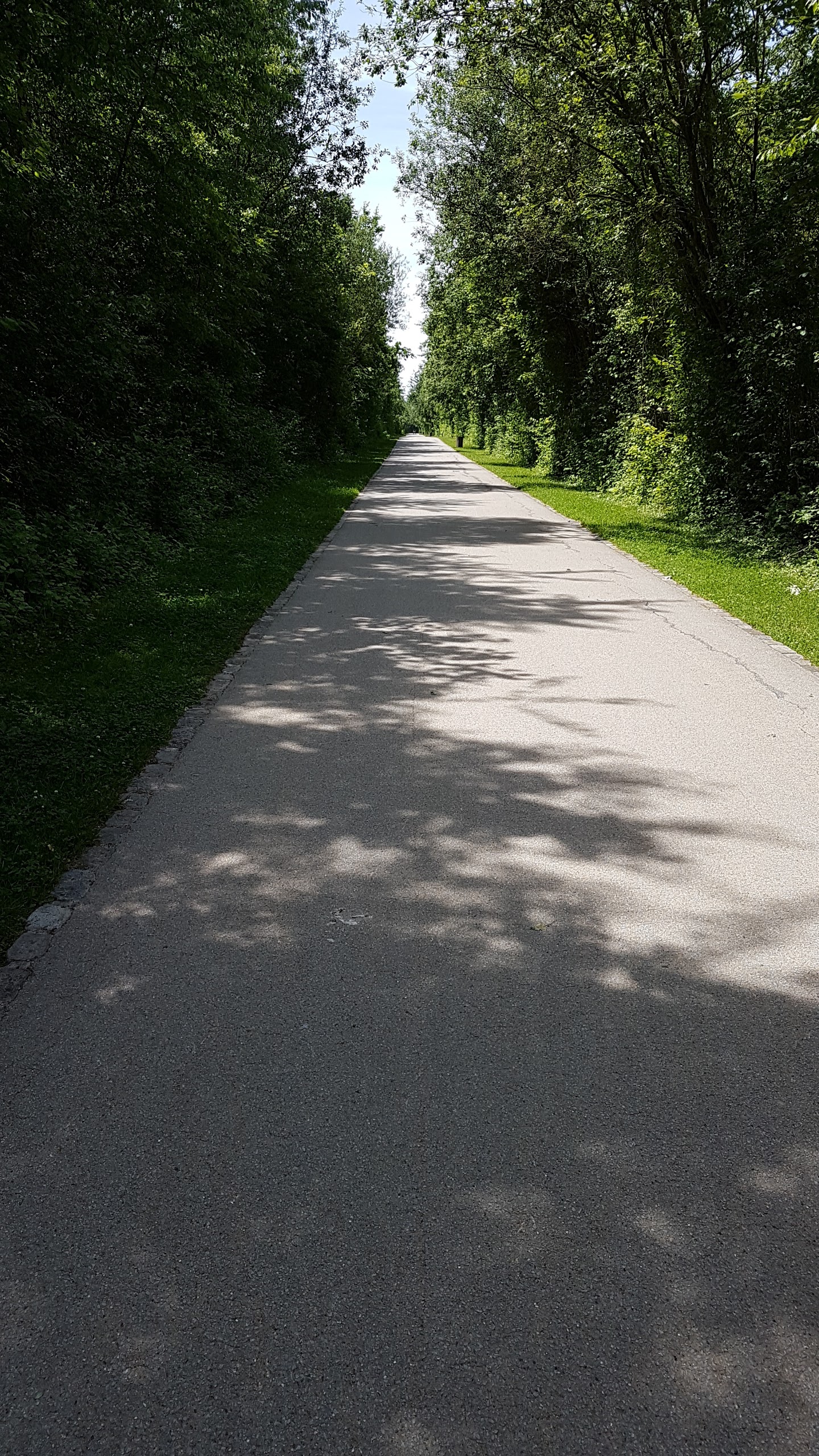 Photo n° 5 de l'avis de T-dy.a fait le 08/06/2017 à 13:40