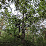 Photo n°6 de l'avis de Orrin.r fait le 11/08/2019 à 10:11 sur le  Hotel Döllnsee-Schorfheide (4-Sterne) à Templin