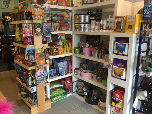 Island Animal, 35 Narragansett Ave, Jamestown, RI 02835, USA, 