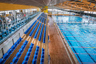 Club de natación de Barcelona