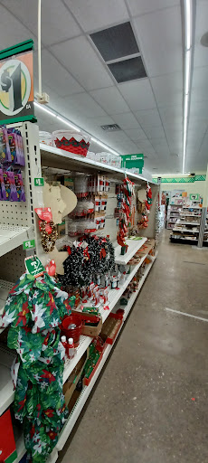 Dollar Store «Dollar Tree», reviews and photos, 3005 Wiley Blvd SW #120, Cedar Rapids, IA 52404, USA