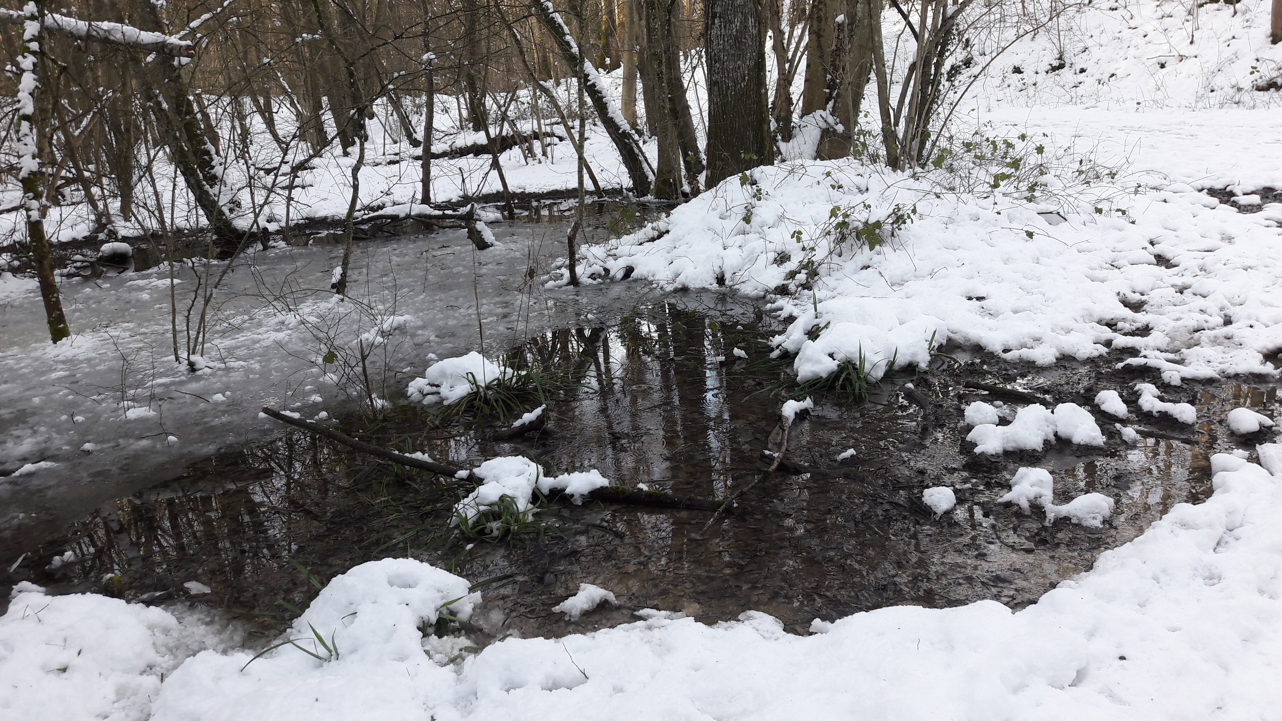 Photo n° 2 de l'avis de Gilles. fait le 10/02/2018 à 17:11