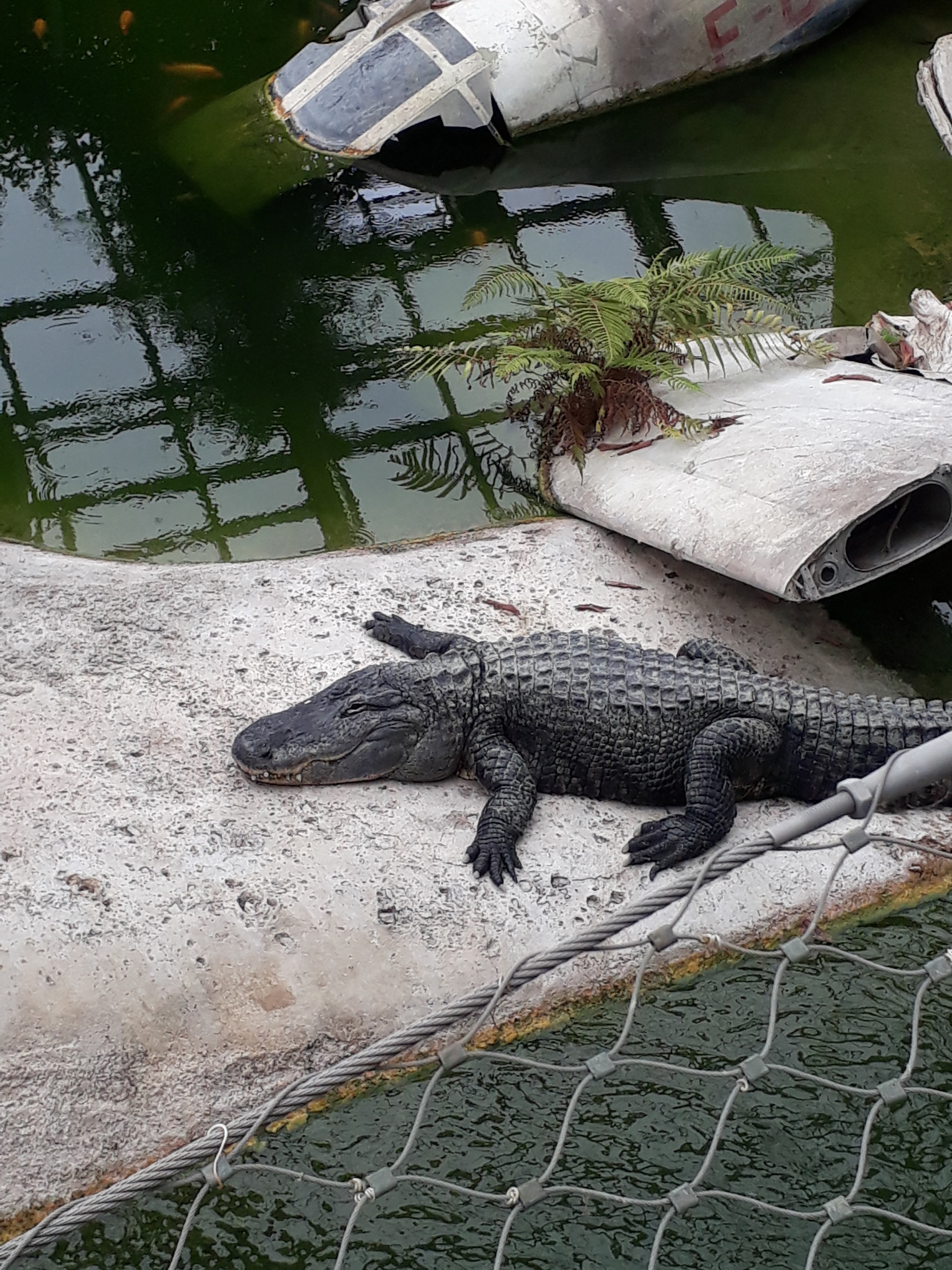 Photo n° 2 de l'avis de Philippe. fait le 14/06/2019 à 16:34