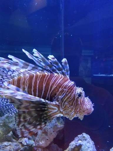 Animal Hospital «Loggerhead Marinelife Center», reviews and photos, 14200 U.S. Hwy 1, Juno Beach, FL 33408, USA