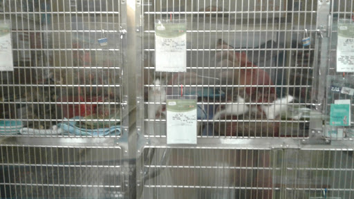 Pet Supply Store «PetSmart», reviews and photos, 2784 Wilma Rudolph Blvd, Clarksville, TN 37040, USA