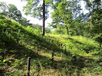 和田山五号墳