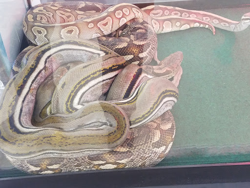 Convention Center «Colorado Springs Event Center», reviews and photos, 3960 Palmer Park Blvd, Colorado Springs, CO 80909, USA