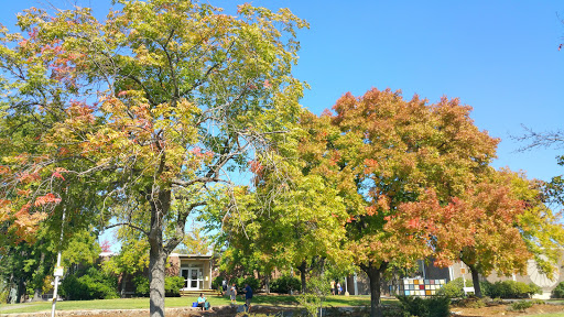 Sierra College image