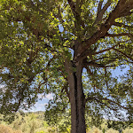 Photo n°7 de l'avis de Daniele.a fait le 15/05/2022 à 08:37 sur le  Relais Ciavatta Country Hotel à Montemerano