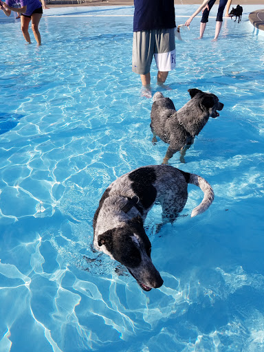 Water Park «Adventure Oasis Water Park», reviews and photos, 2100 Hub Dr, Independence, MO 64050, USA