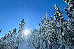 Teacup Nordic Snow Park image