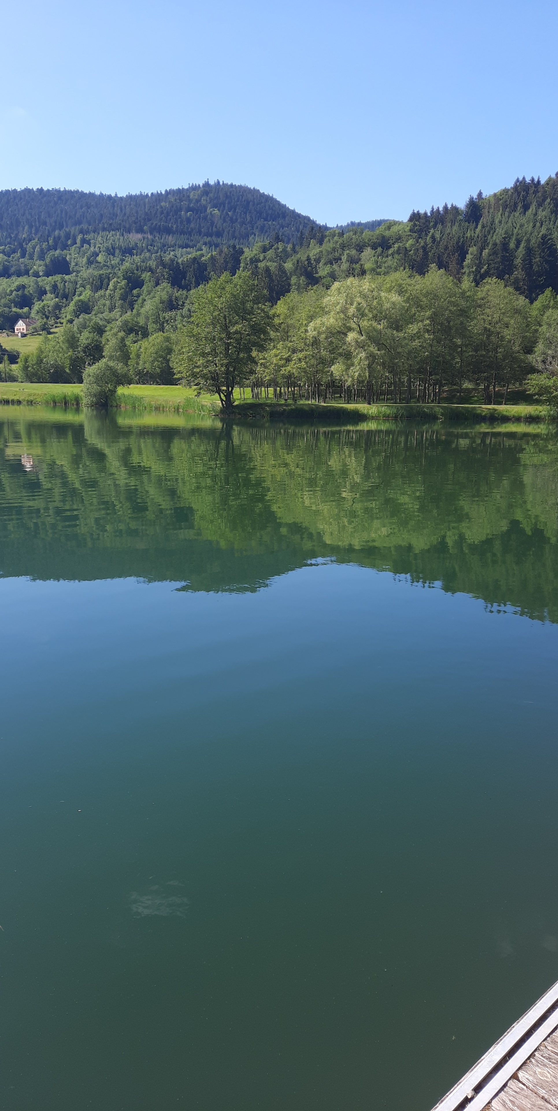 Photo n° 1 de l'avis de jenecpaalors. fait le 14/06/2022 à 19:24
