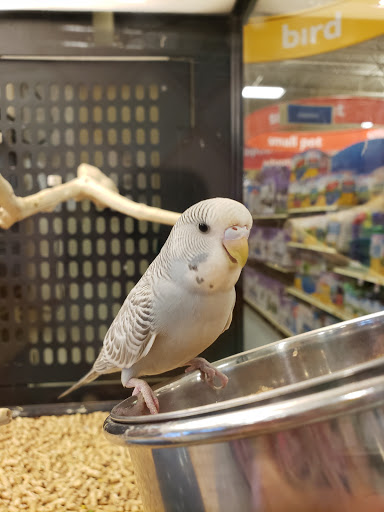 Pet Supply Store «PetSmart», reviews and photos, 2360 W Oregon Ave, Philadelphia, PA 19145, USA