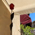 Photo n°1 de l'avis de Riccardo. fait le 14/06/2022 à 04:59 sur le  L'Altro Cantuccio Ristorante à Montepulciano