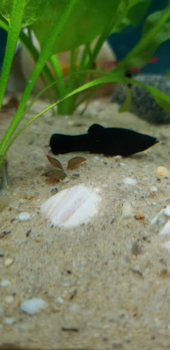 Pet Supply Store «Petco Animal Supplies», reviews and photos, 1 US-46, Totowa, NJ 07512, USA