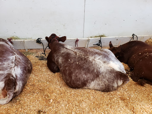 Fairground «The Evergreen State Fairgrounds», reviews and photos, 14405 179th Ave SE, Monroe, WA 98272, USA