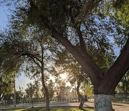 Gimnasio Universitario E.D. Elías Carranco Hermosillo - UABC photo