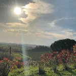 Photo n°1 de l'avis de Xenia. fait le 17/04/2022 à 14:45 sur le  Villa Curina Resort à Castelnuovo Berardenga