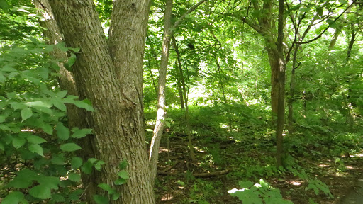 Movie Theater «AMC Loews Lincoln Square 13», reviews and photos, 1998 Broadway, New York, NY 10023, USA