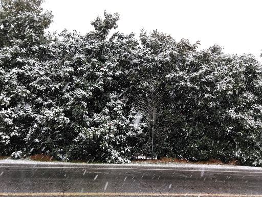 Golf Club «The Château Élan Golf Club», reviews and photos, 6060 Golf Club Dr, Braselton, GA 30517, USA