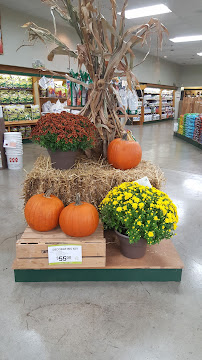 Earl May Garden Center - Photo 4 - Car repair in Cedar Falls, IA, Waterloo