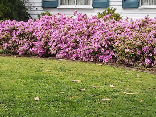 Historical Landmark «Helen Keller Birth Place», reviews and photos, 300 N Commons St W, Tuscumbia, AL 35674, USA