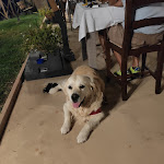 Photo n°1 de l'avis de yung.d fait le 15/08/2021 à 08:00 sur le  Ristorante @ Il Gigante à Appignano del Tronto