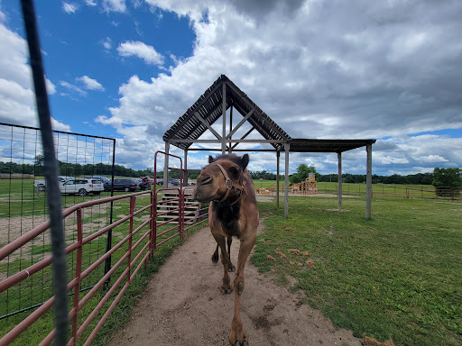 Zoo «Trowbridge Creek Zoo», reviews and photos, 50622 Co Rd 17, Vergas, MN 56587, USA