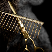 Utsumi Grooming - Photo 2 - Car repair in Irvine, CA, Santa Ana