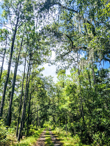 Nature Preserve «Triple Creek Nature Preserve», reviews and photos, 13112 Balm Boyette Rd, Riverview, FL 33579, USA