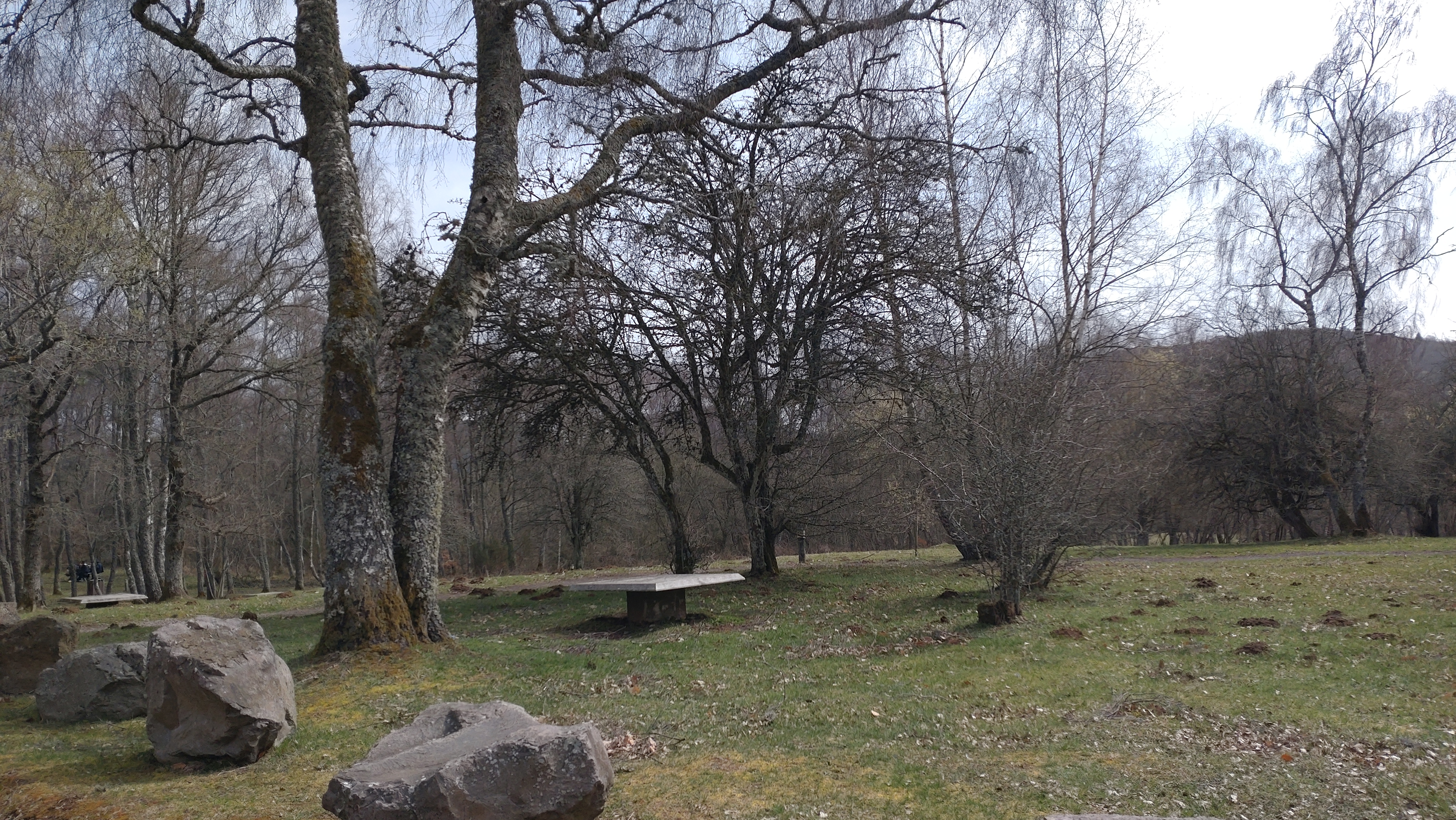 Photo n° 2 de l'avis de Stéphanie.e fait le 02/04/2023 à 04:26