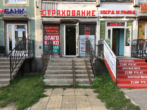 Оформить осаго регион