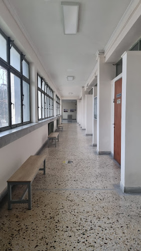 Opinii despre Τμήμα Γλώσσας, Φιλολογίας & Πολιτισμού Παρευξεινίων Χωρών, Δημοκρίτειο Πανεπιστήμιο Θράκης în Κομοτηνή - Σχολείο